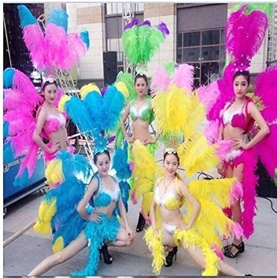 Amazon.co.jp: 1着 サンバ 衣装 羽 コスプレ ダンスショー シンガー