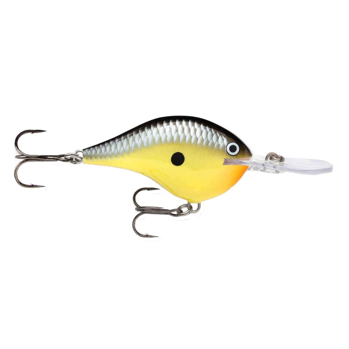 Amazon.co.jp: Rapala(ラパラ) クランクベイト DT ダイブストゥ 6cm