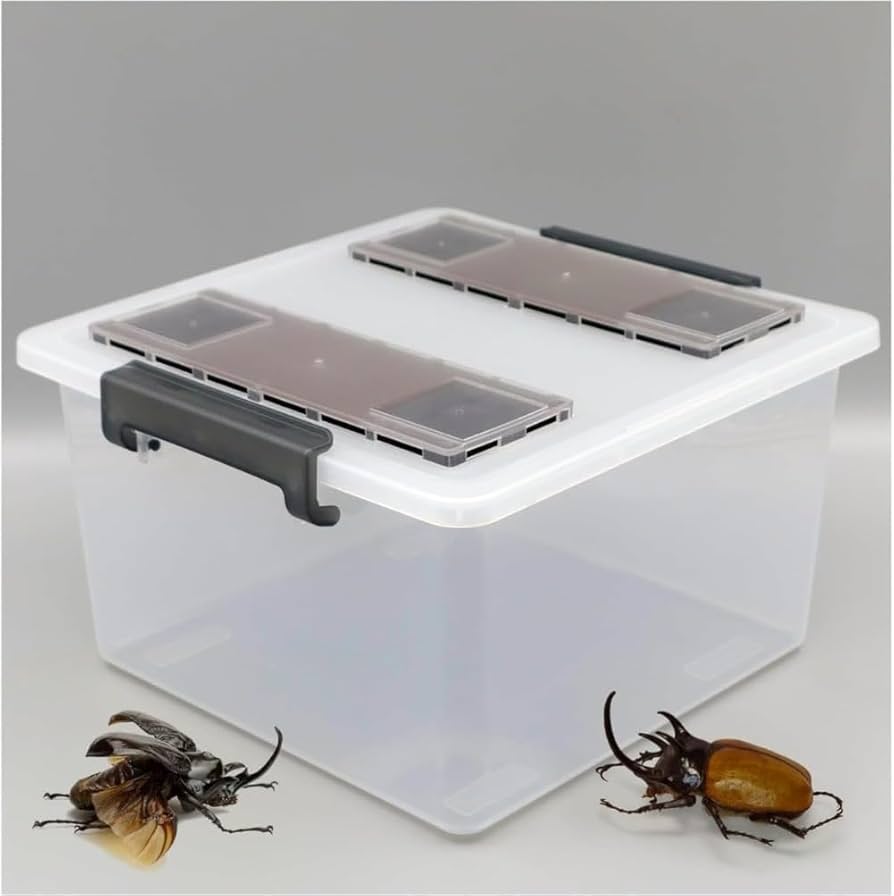 Amazon | 大きいクワガタカブトムシプロのケース 産卵用、幼虫飼育