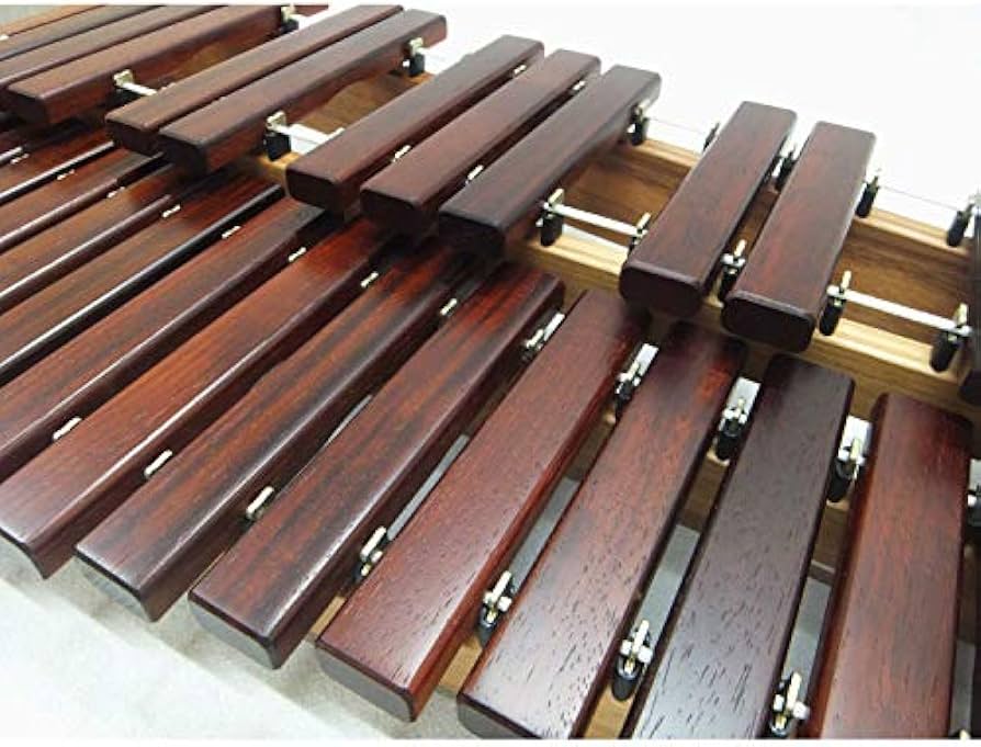 Amazon.co.jp: プレゼントに人気： 卓上木琴(シロフォン) コオロギ