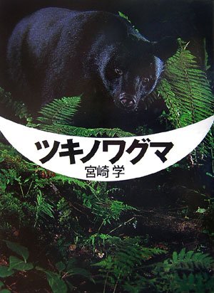 ツキノワグマ | 宮崎 学 |本 | 通販 | Amazon