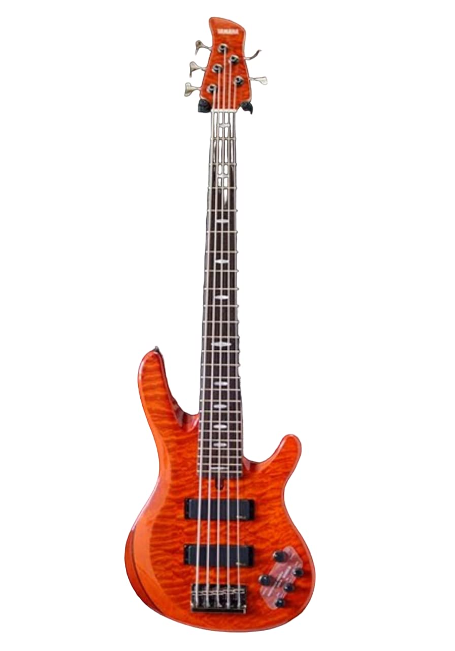 Amazon | ヤマハ YAMAHA エレキベース 5弦 TRB1005J CMB | エレキ