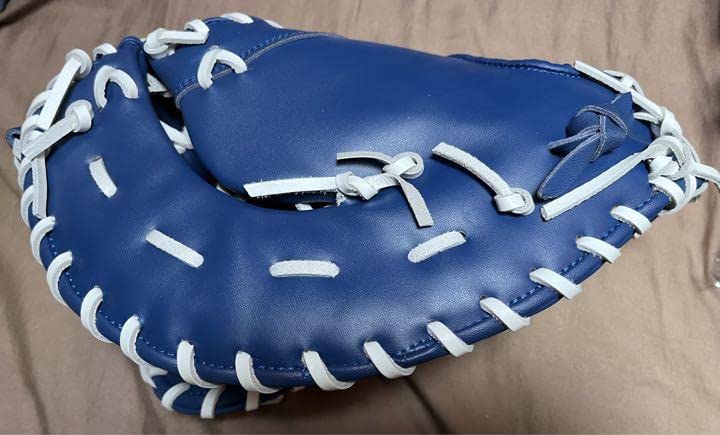 横浜DeNAベイスターズ ファンクラブ特典 オリジナルキャッチーミット