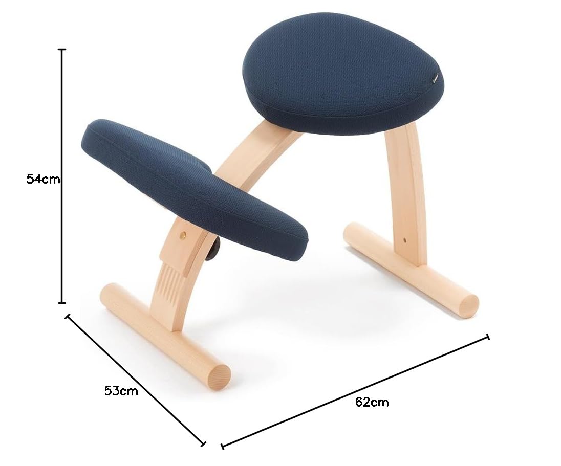 Amazon.co.jp: バランスラボ バランスイージー 通常フレーム 通常箱