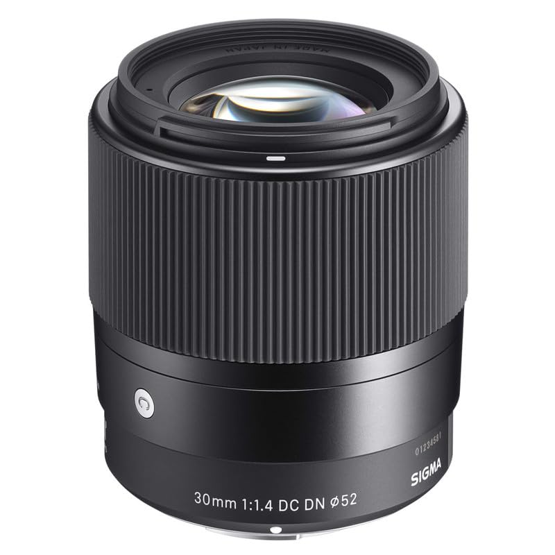 Amazon.com : Sigma 30mm F1.4 Contemporary DC DN Lens for Sony E