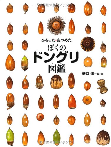 Amazon.co.jp: ひろった・あつめた ぼくのドングリ図鑑 (ちしきのぽ