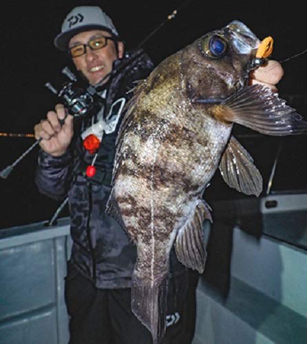 Amazon | ダイワ(DAIWA) ベイトリール アルファス AIR 7.2R (右