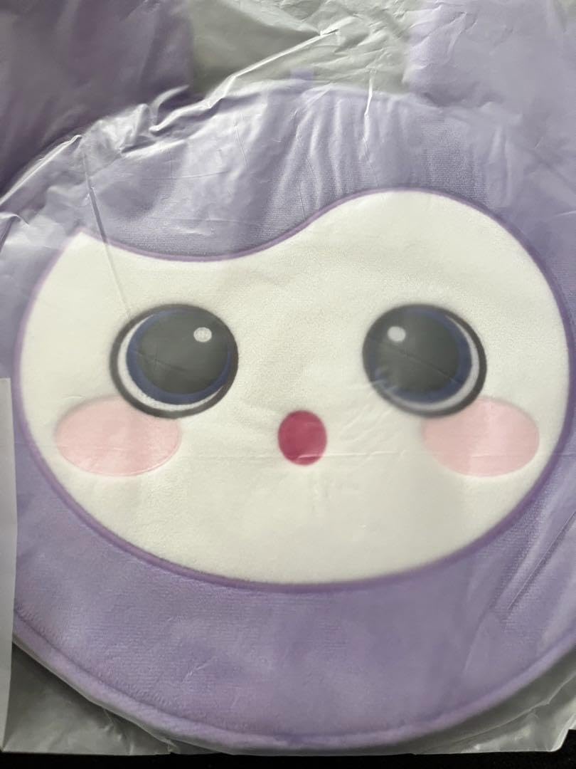 Amazon.co.jp: TWICE READY TO BE サナ サブリー うちわケース : おもちゃ