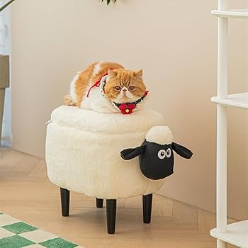 51envbtTT0L._AC_UF350,