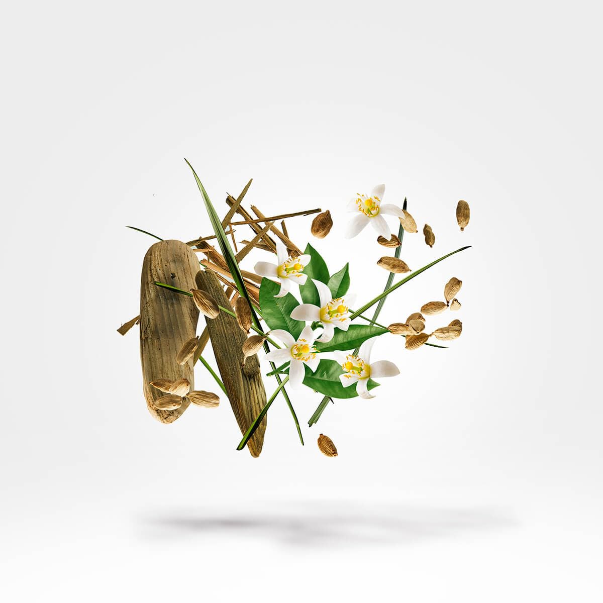 Amazon | Xerjoff Shooting Stars Nio 50ml Eau de Parfum | Xerjoff