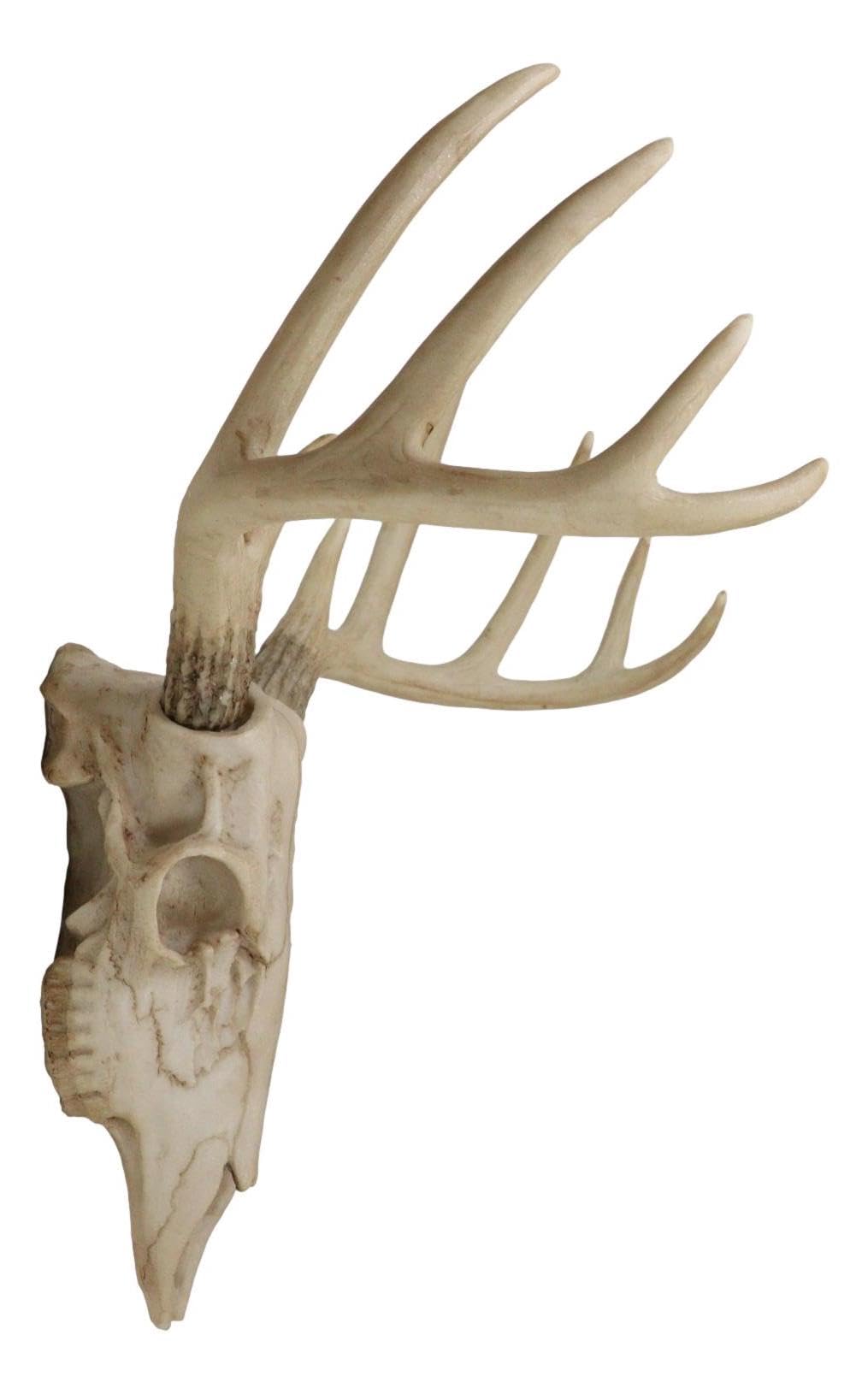 Amazon.co.jp: Ebros Gift 素朴なハンター鹿 10ポイント バックスカル