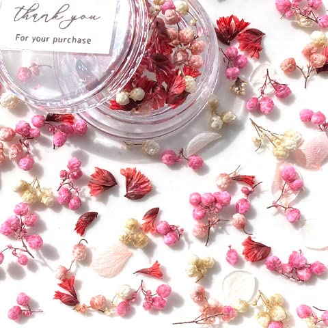 Amazon.co.jp: ドライフラワー 花びら つぼみ 色々ミックス レジン