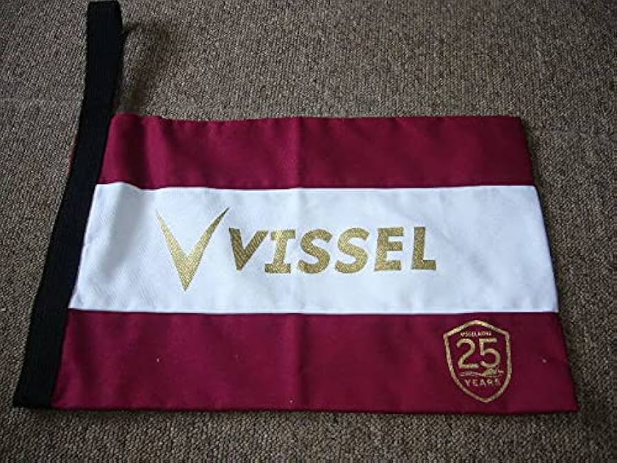 Amazon.co.jp: 有ヴィッセル神戸25周年金ロゴKAMOシューズケース