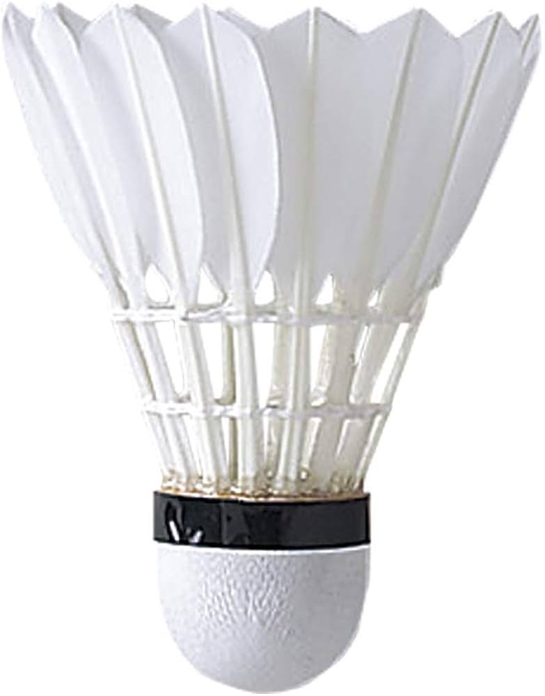 Amazon | MIZUNO(ミズノ) バドミントンシャトル SKYCROSS EX(#5