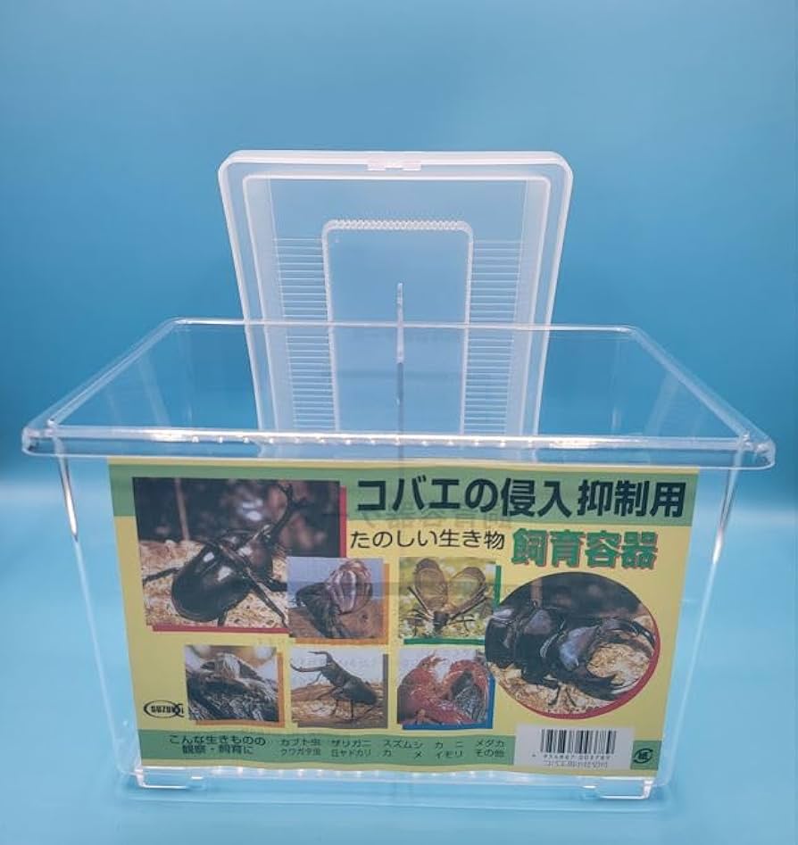 Amazon | コバエ侵入抑制 飼育ケース 小サイズ （仕切り付）225×150