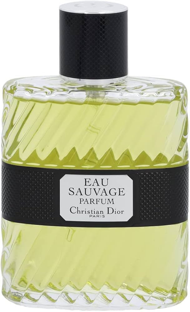 Amazon.com : Christian Dior Eau Sauvage Parfum Spray for Men, 3.4