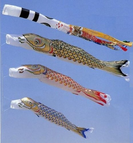 Amazon | 【東旭鯉のぼり】庭園用【ポール別売り】大型鯉【3m鯉3匹