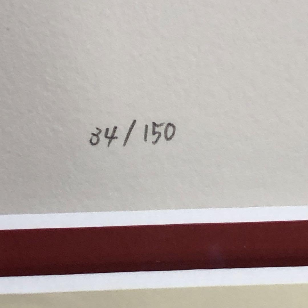 Amazon.co.jp: 垣野内成美 リトグラフ 燐花〜吸血姫美夕 直筆サイン