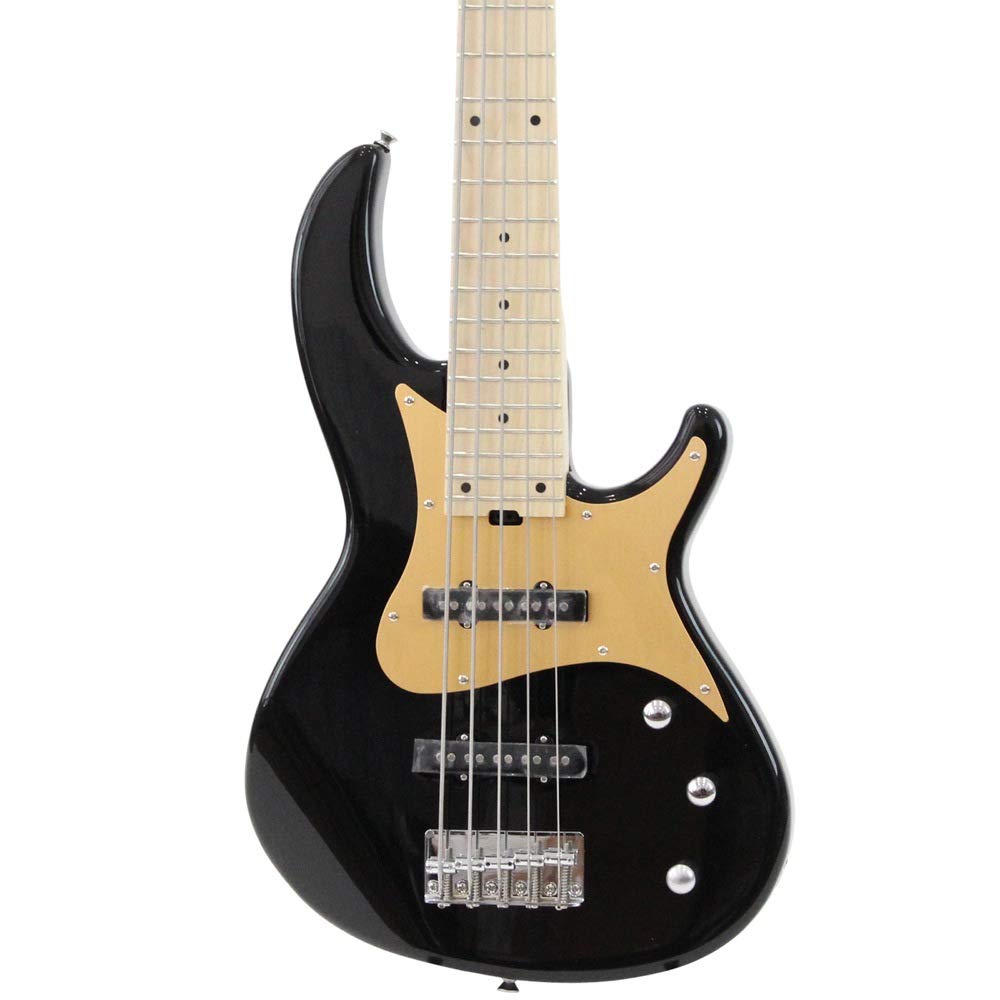 Amazon.co.jp: AriaProII 5弦ベース RSBシリーズ BK RSB-618/5 : 楽器