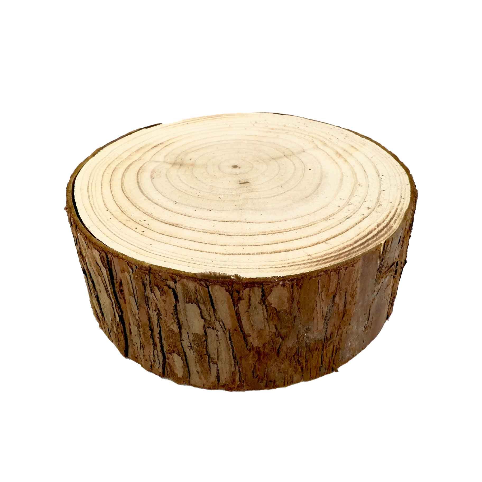Amazon.co.jp: 天然木の台座 ディスプレイスタンド スギの木 切り株 1