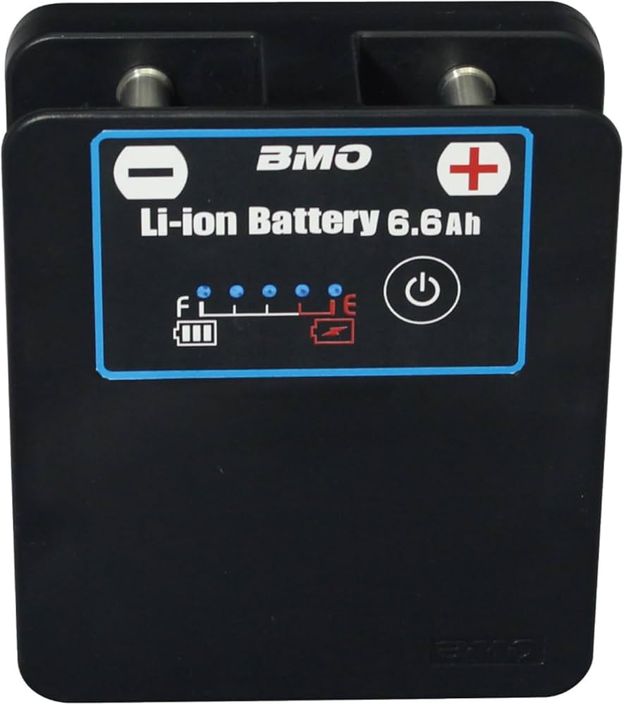 Amazon.co.jp: BMO JAPAN(ビーエムオージャパン) リチウムイオン