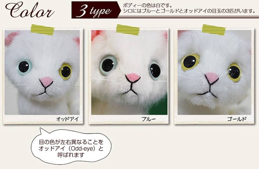 Amazon.co.jp: ドロップス シロ カドリー（Cuddly) 猫のぬいぐるみ