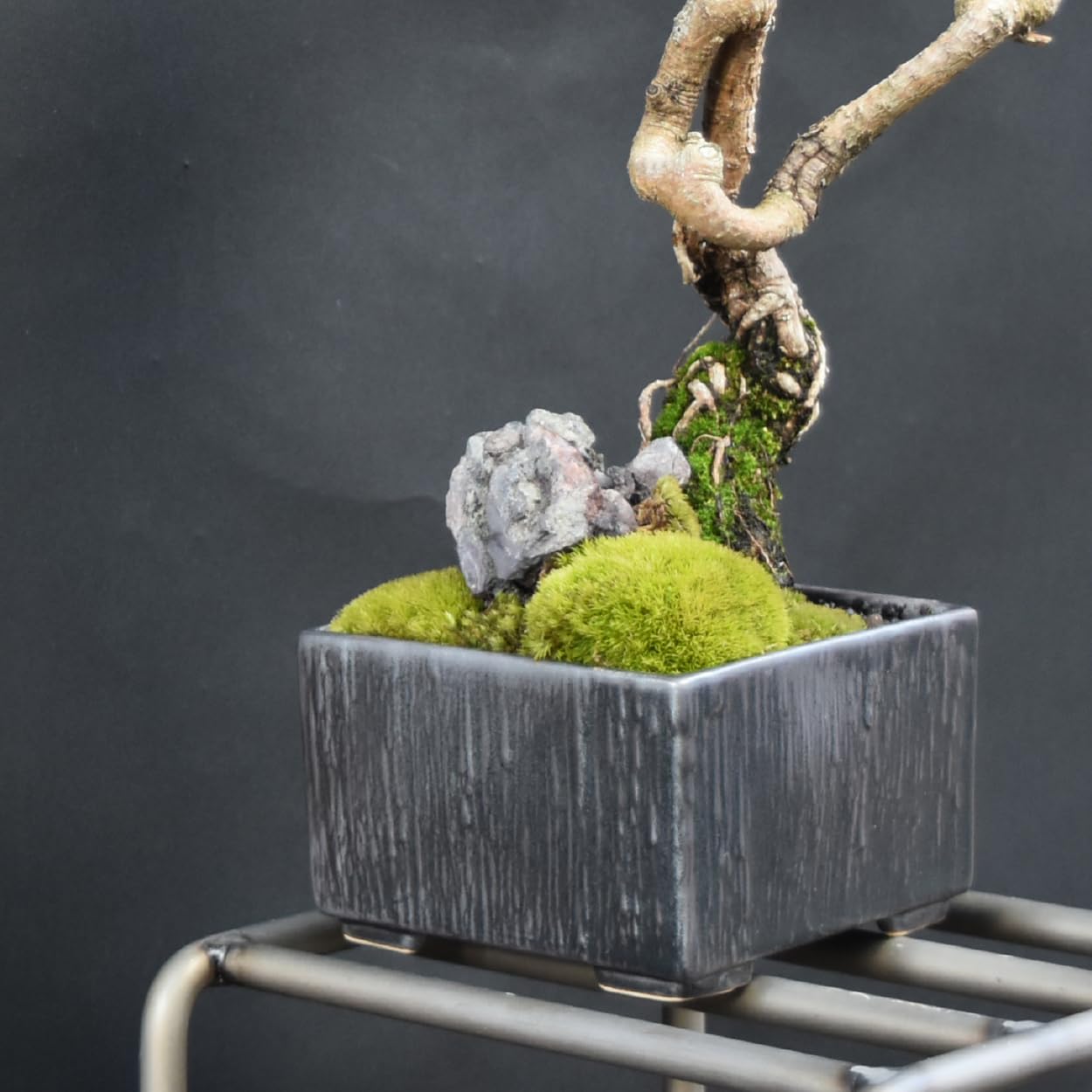 重石 丸 盆栽鉢 重石 丸 盆栽鉢 重石 丸 盆栽鉢