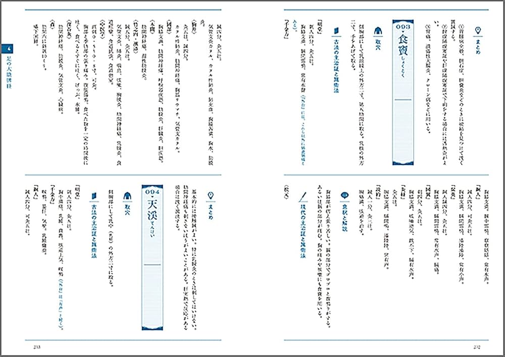 経穴主治症総覧 | 池田 政一 |本 | 通販 | Amazon