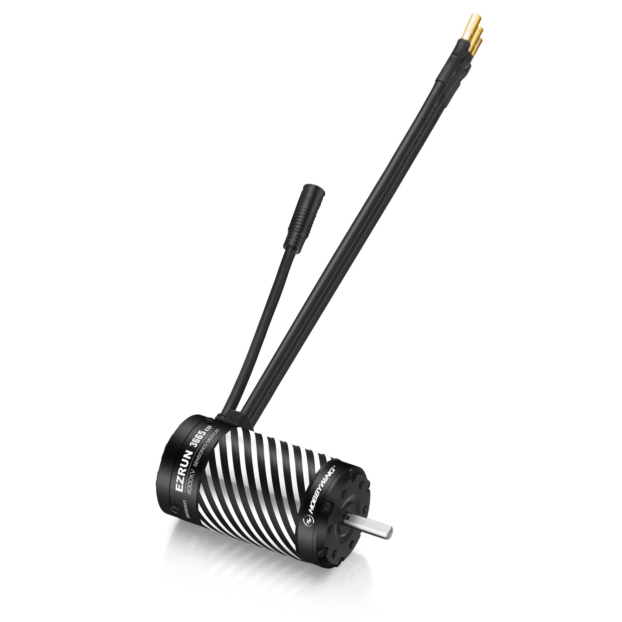 Amazon.com: HOBBYWING EZRUN 3665 SD G3 Motor (EZRUN 3665SD-2400KV