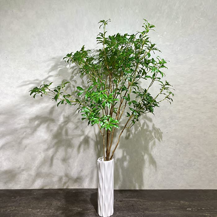 Amazon｜アセビ 枝もの 枝 3本セット 馬酔木 インテリア グリーン 生花