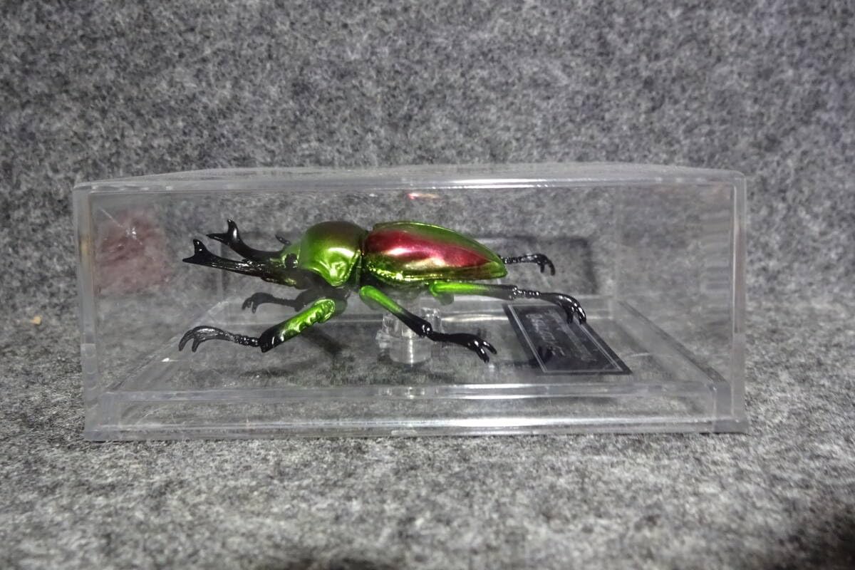 Amazon.co.jp: ニジイロクワガタ デアゴスティーニ 世界の昆虫 DATE