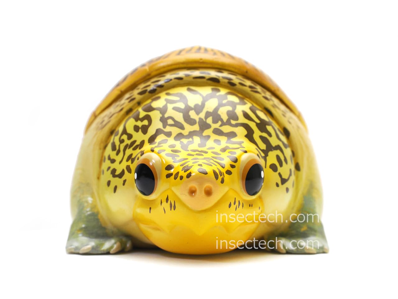 Amazon | 【動物の惑星】ハラガケガメ フィギュア完成品