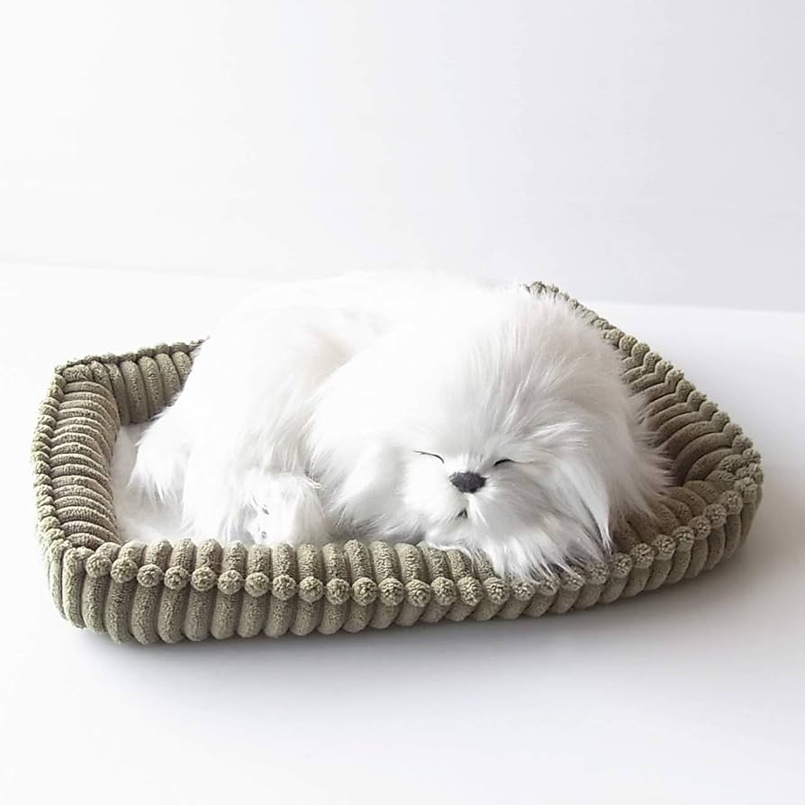 Amazon.co.jp: ニニアンドキノ パーフェクトペット (小サイズ