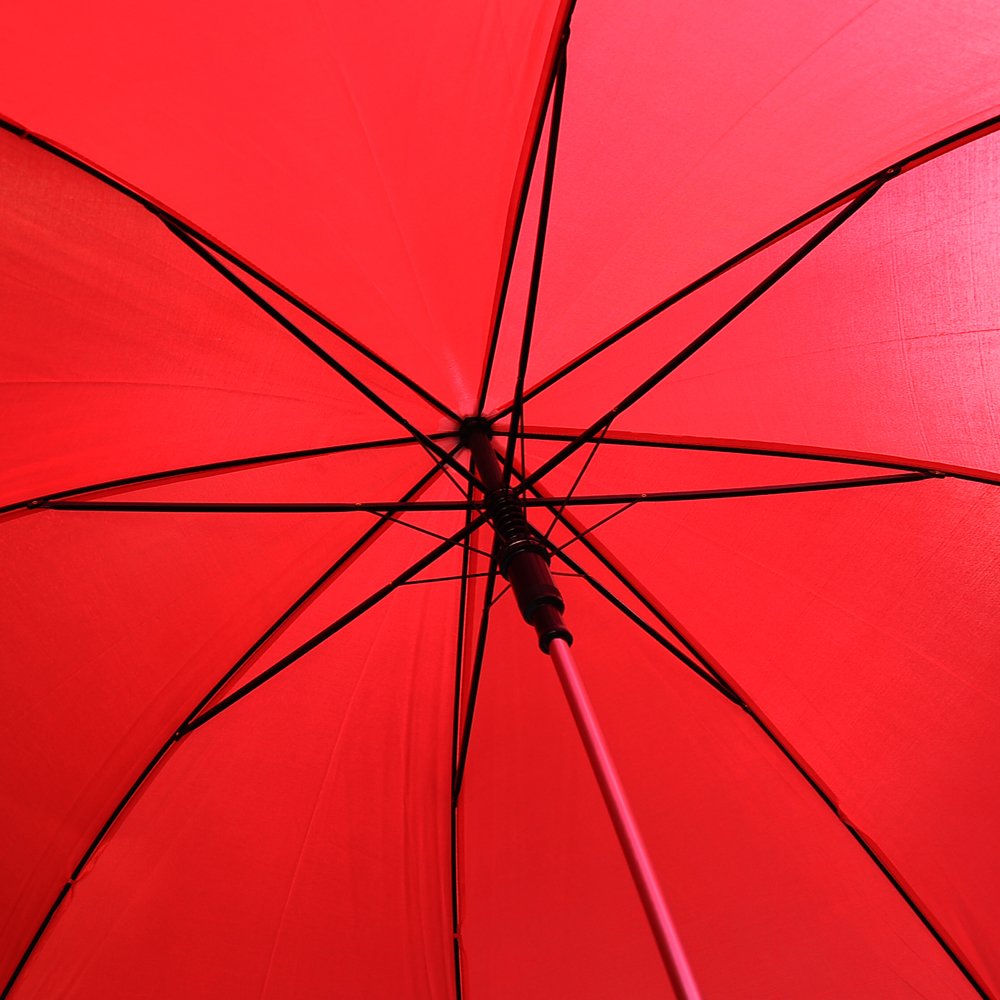 innocent grey 白夜開催記念 パズル red umbrella Innocent Grey 白夜