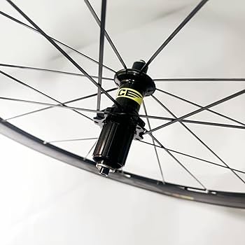 61PaszT5FVL._AC_UF350,