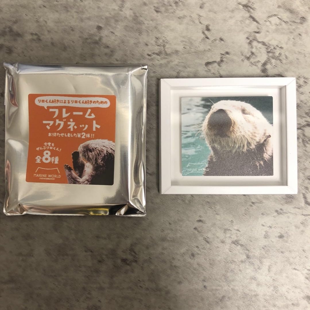 Amazon.co.jp: ラッコ リロくん フレームマグネット マリンワールド海