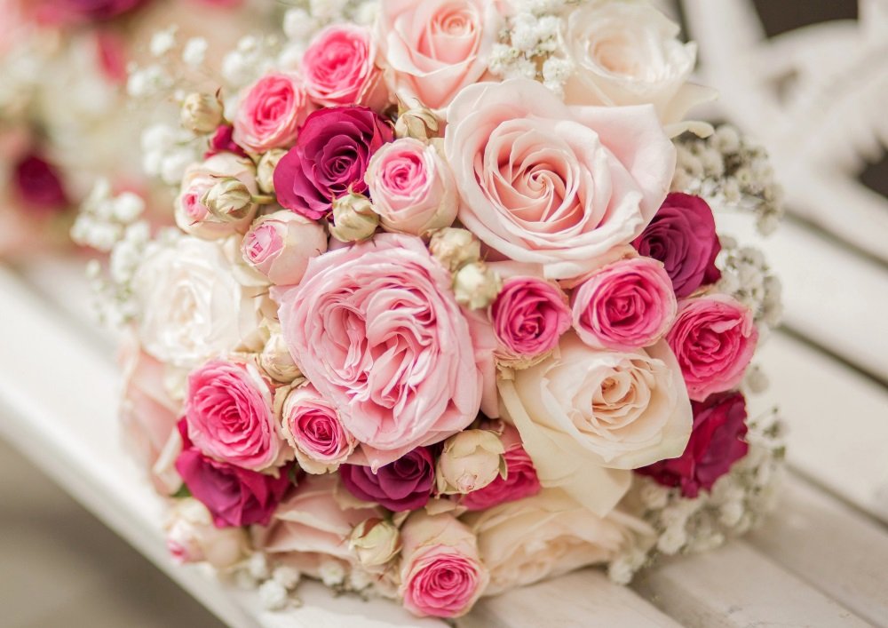 rose pink絵画3点 rose pink絵画3点 Amazon.co.jp: 7Fisionart アート