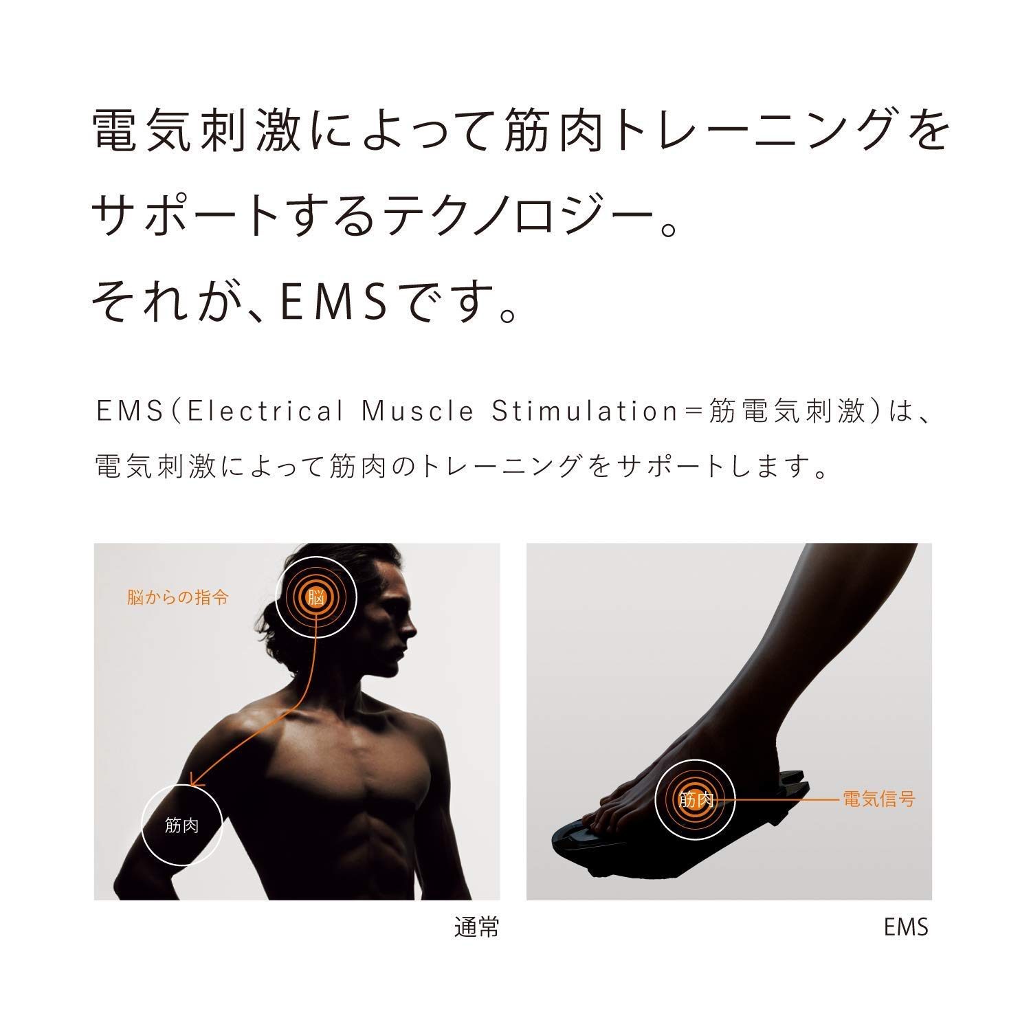 Amazon.co.jp: MTG EMSトレーニングギア 「SIXPAD Foot Fit」【日本