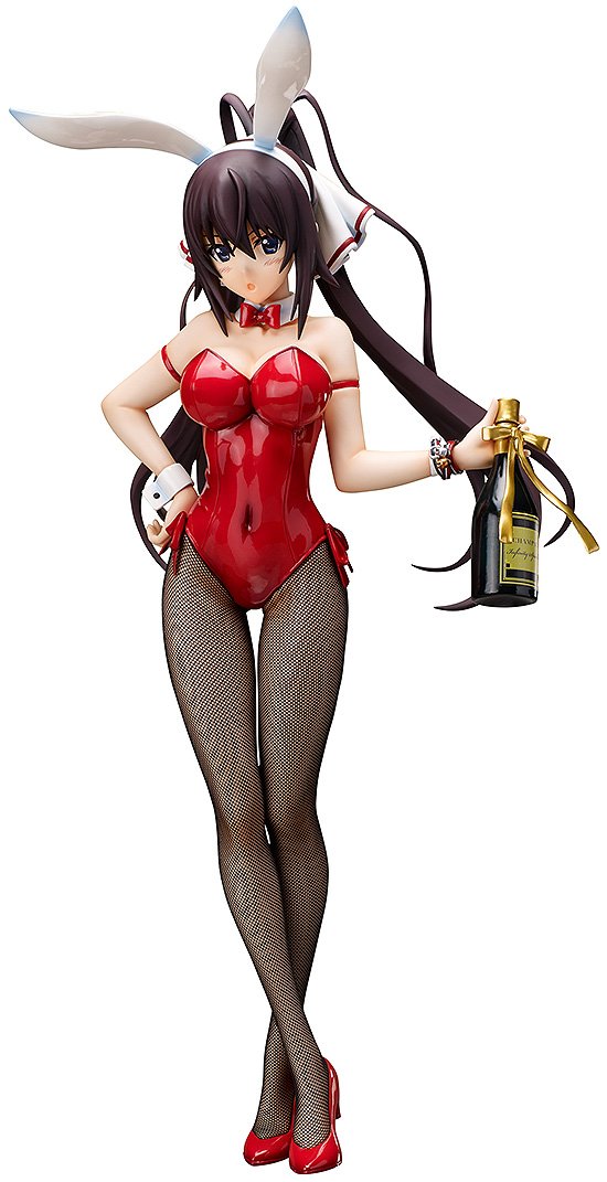 Amazon | IS [インフィニット・ストラトス] 篠ノ之箒 バニーVer. 1/4