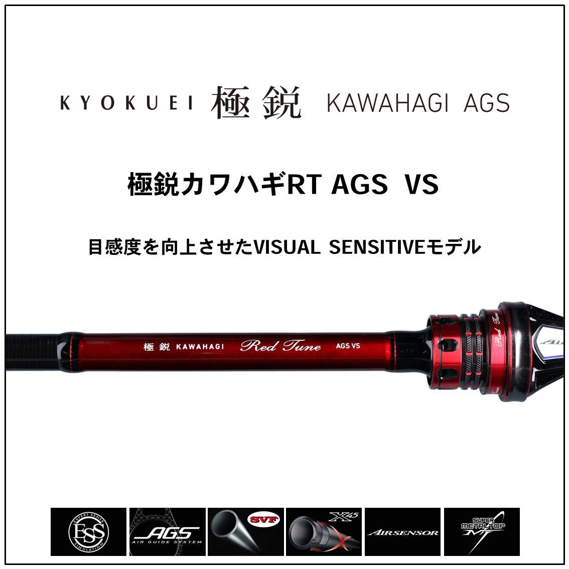 Amazon | ダイワ(DAIWA) 船竿 極鋭カワハギRT AGS VS 釣り竿 | ダイワ