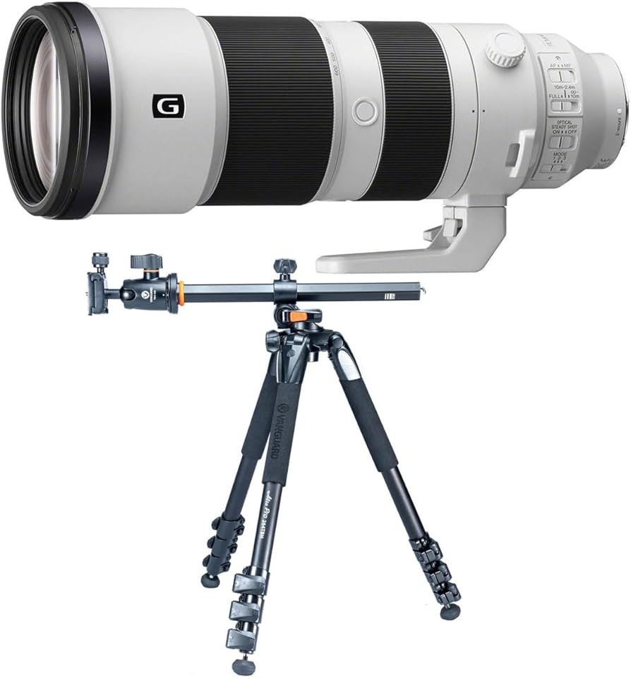 SONY 200-600mm G OSS 美品 元箱付き 社外三脚座付き Amazon.com : Sony