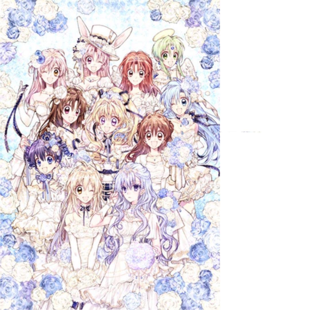 Amazon.co.jp: 種村有菜カフェ アニメイトカフェ ヒロイン スペシャル