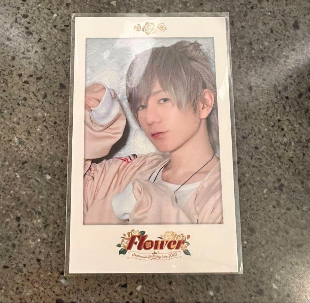 K17.浦島坂田船 うらたぬき チェキ風カード まとめ売り ミニフォト