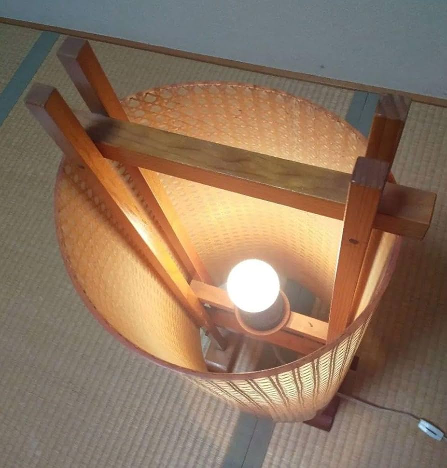 LOUIS VUITTON モノグラム パンプキンドット パピヨン 草間彌生