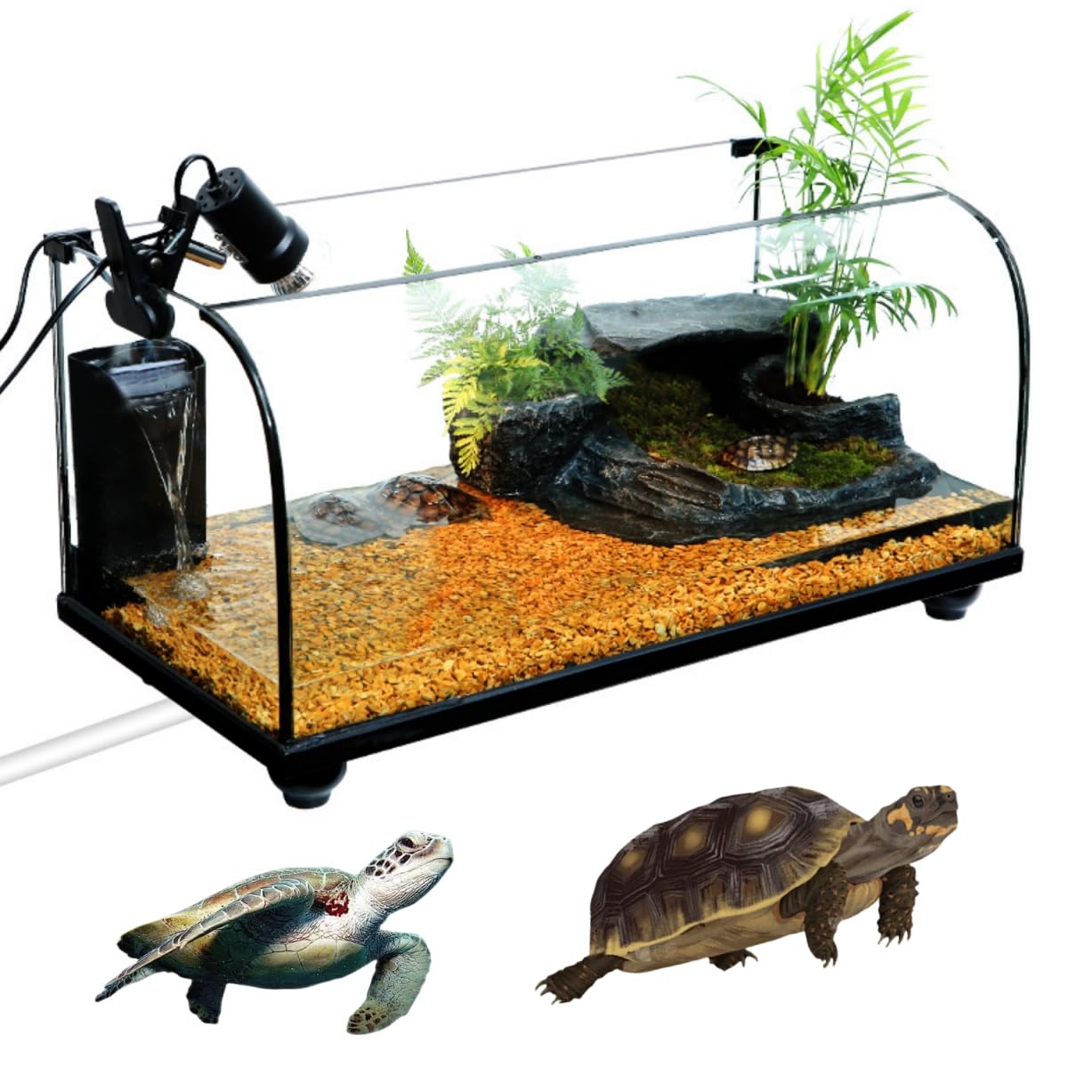 新入荷】フィッシュボール(天然木ガラス水槽)カメ似 新入荷