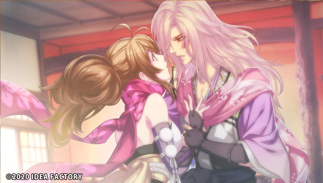 Amazon.co.jp: 忍び、恋うつつ for Nintendo Switch 限定版 : Video Games