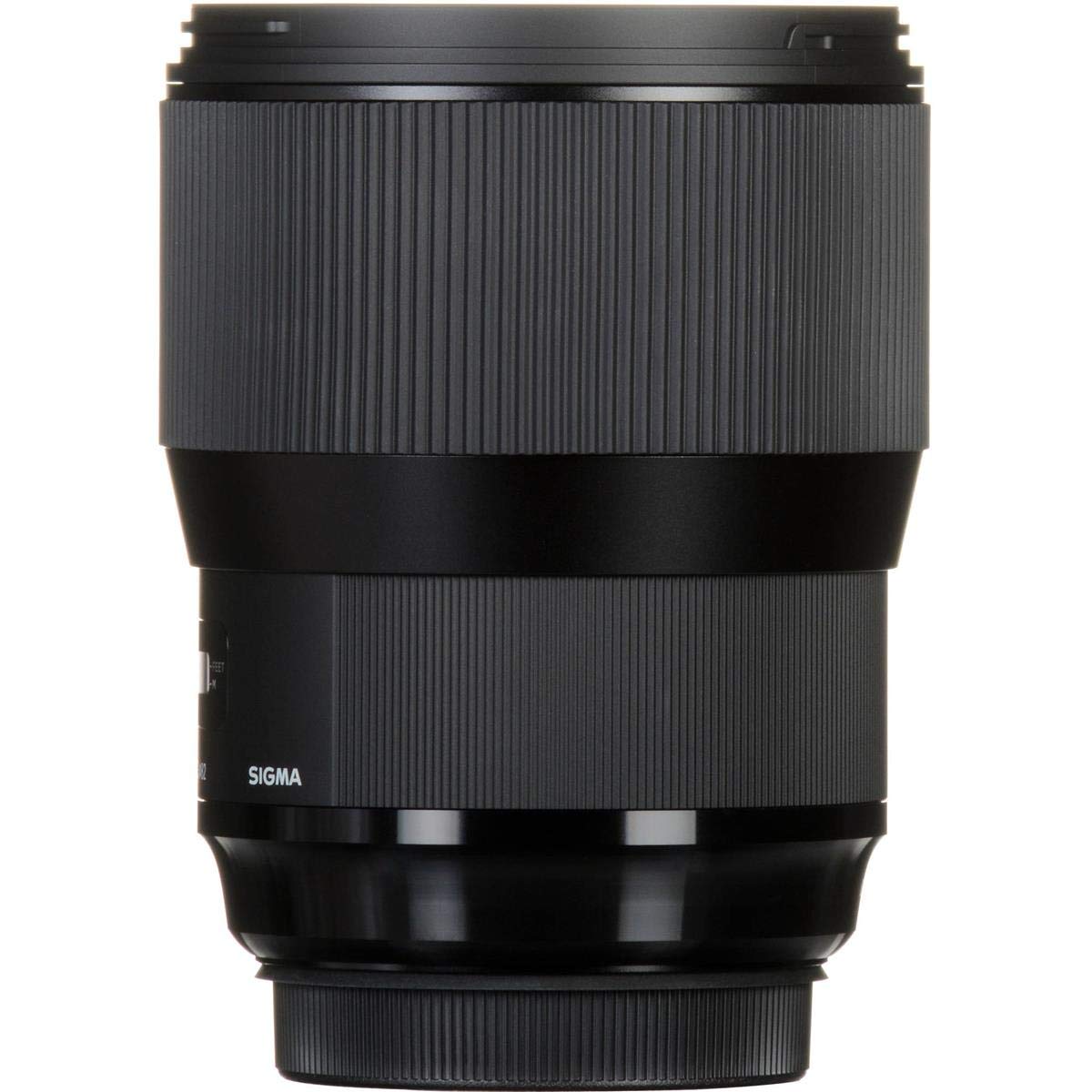 Amazon.com : Sigma 135mm F1.8 Art DG HSM for Sony E : Electronics