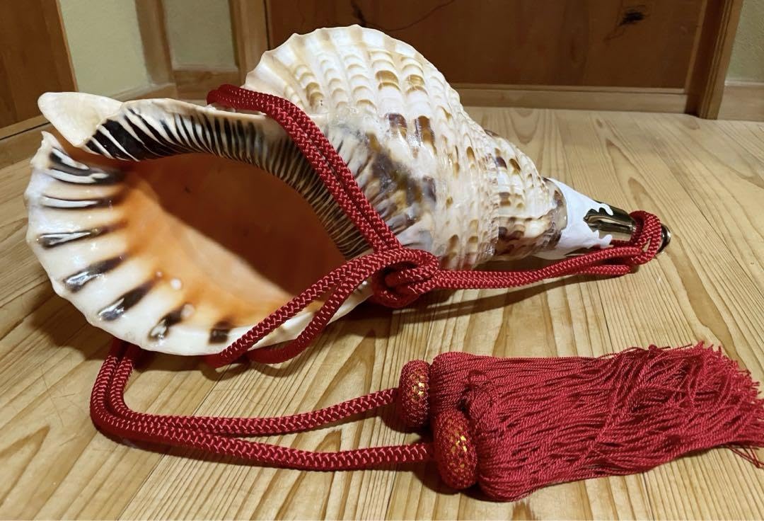 特大肉厚44㎝修験道法螺貝 山伏 大型修験道法螺貝 山伏 密教 魔除け 熊