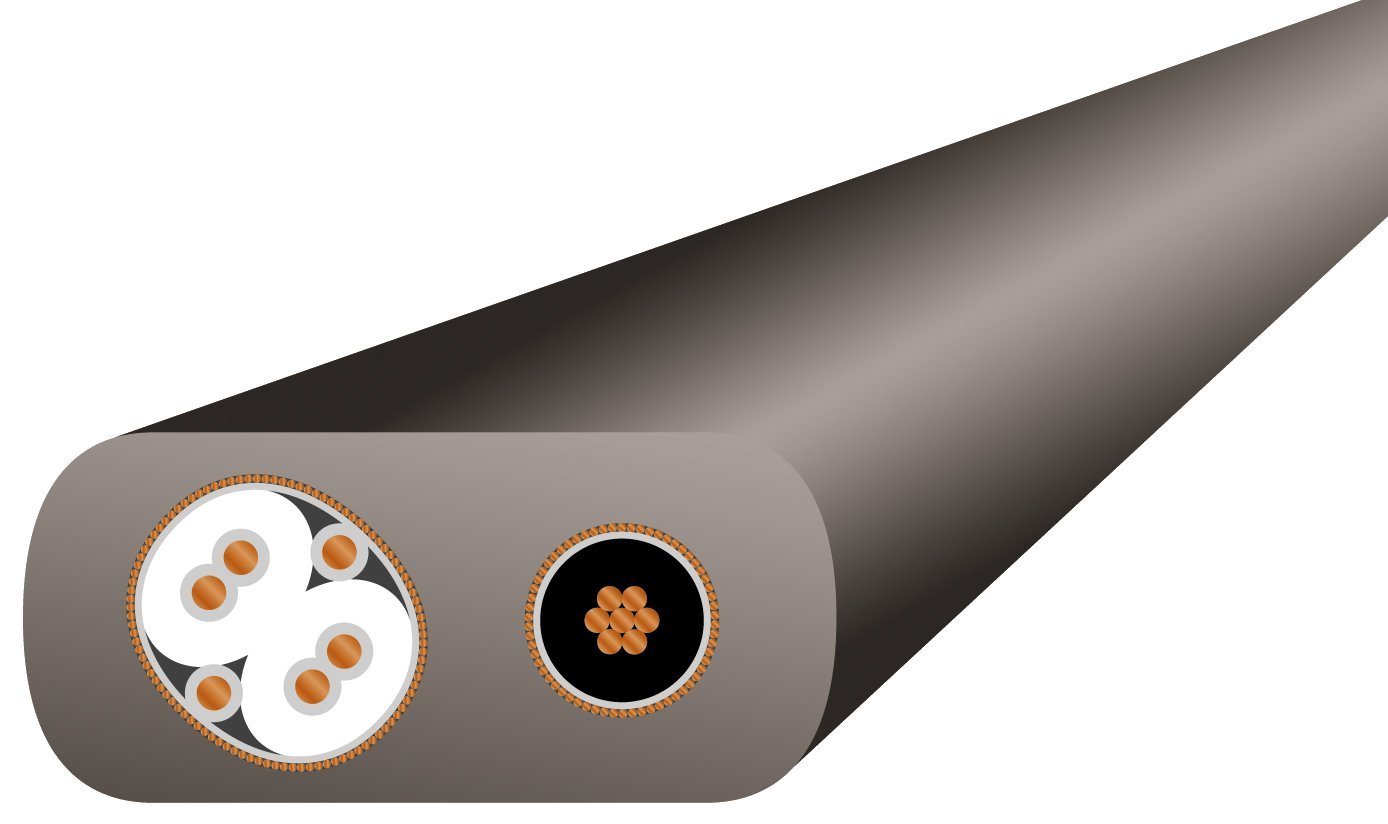 Amazon.co.jp: WireWorldシルバーStarlight 7 USB 2.0オーディオ