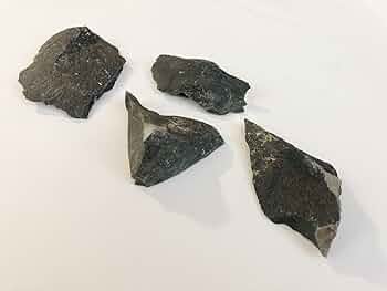 7144Ux8UUkL._AC_UF350,